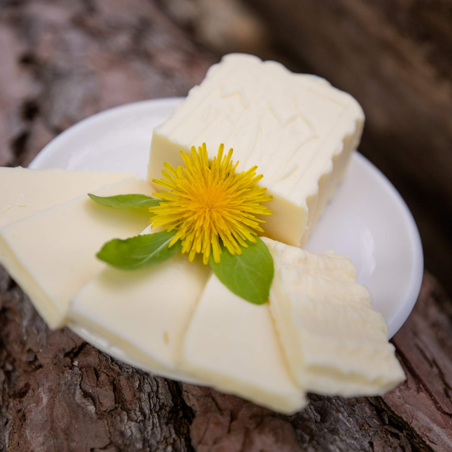 Butterstücke mit Löwenzahnblüte garniert